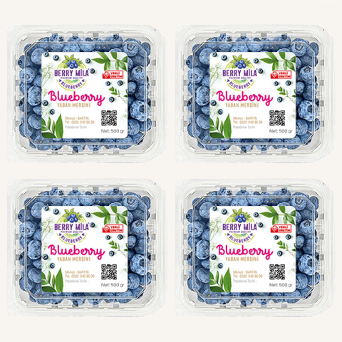 2000 gr Yaban Mersini